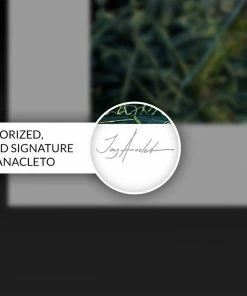 Batman: Detective Comics #1000 Art Print By Jay Anacleto Sideshow Collectibles Art Work Murals & Prints 7 Batman: Detective Comics #1000 Art Print By Jay Anacleto Sideshow Collectibles Art Work Murals & Prints