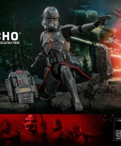 Hot Toys Echo Sixth Scale Figure Set Sixth Scale Collectible Figures