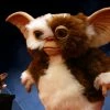 SIDESHOW COLLECTIBLES Gremlins: Gizmo Prop Replica By Trick Or Treat Studios Hand Puppet Prop