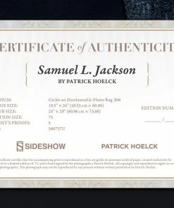 Samuel L. Jackson Art Print By Sideshow Collectibles By Renowned Photographer Patrick Hoelck.