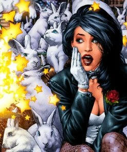 Art Work Murals & Prints Zatanna Fine Art Print By Artist Jay Anacleto, Art Print By Sideshow Collectibles