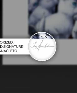 Art Work Murals & Prints Zatanna Fine Art Print By Artist Jay Anacleto, Art Print By Sideshow Collectibles 9 Art Work Murals & Prints Zatanna Fine Art Print By Artist Jay Anacleto, Art Print By Sideshow Collectibles